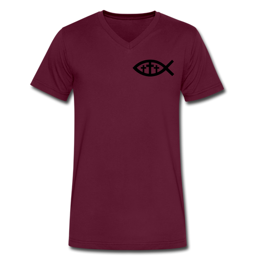 Jesus Men's V-Neck T-Shirt by Canvas Elisheba M6:33