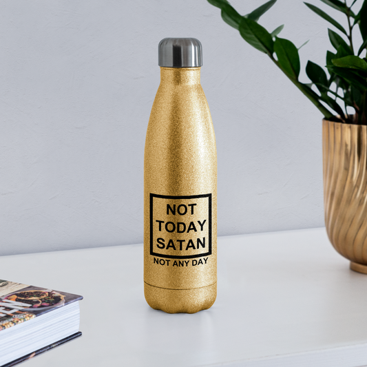 Not Today Insulated Stainless Steel Water Bottle Elisheba M6:33