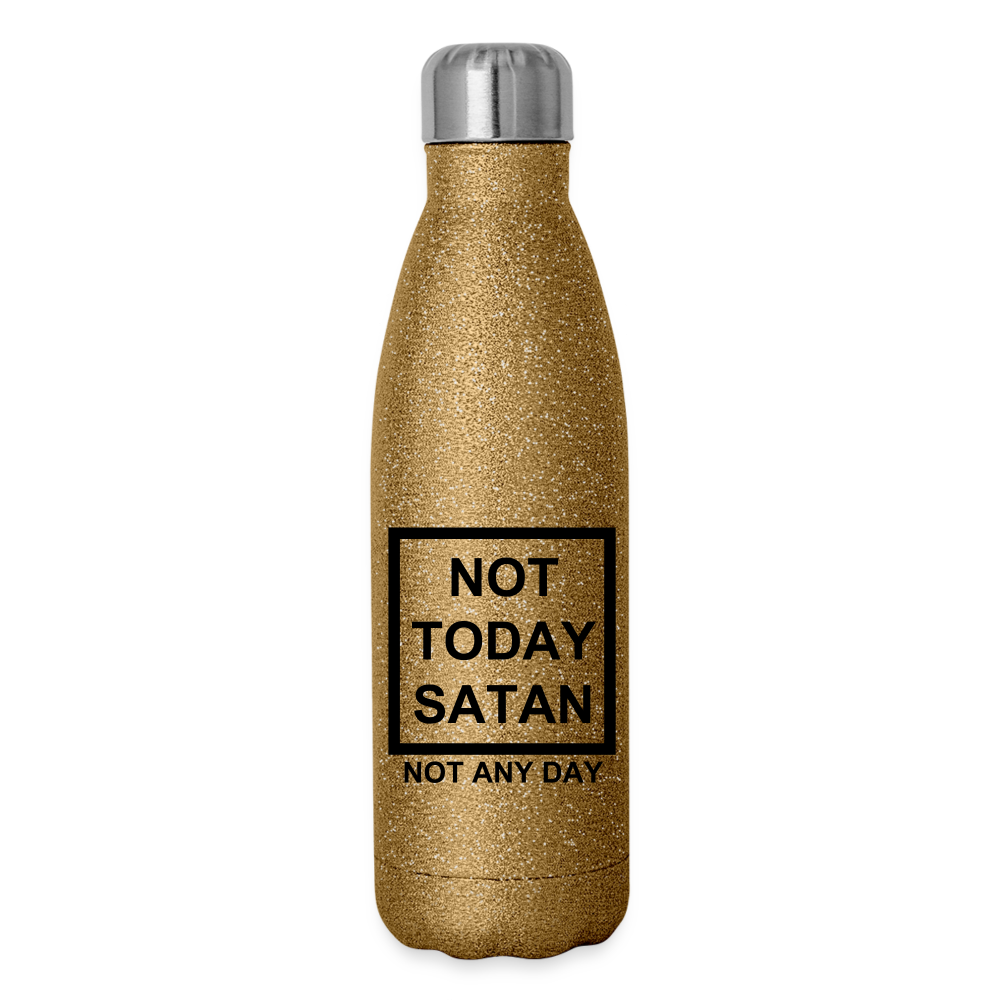 Not Today Insulated Stainless Steel Water Bottle Elisheba M6:33