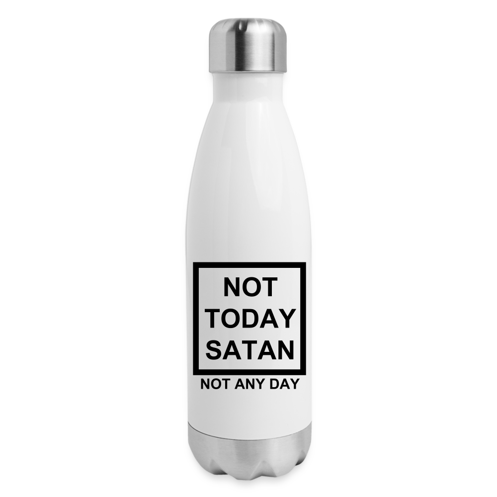 Not Today Insulated Stainless Steel Water Bottle Elisheba M6:33