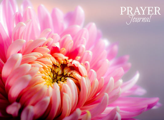 Prayer Journal for Women (Paperback) Elisheba M6:33