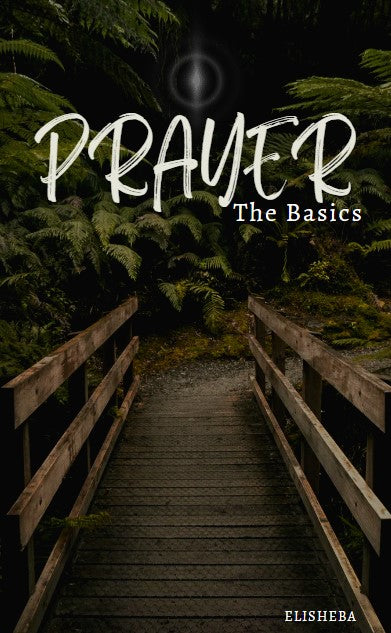 Prayer: The Basics (eBook Download) Elisheba M6:33